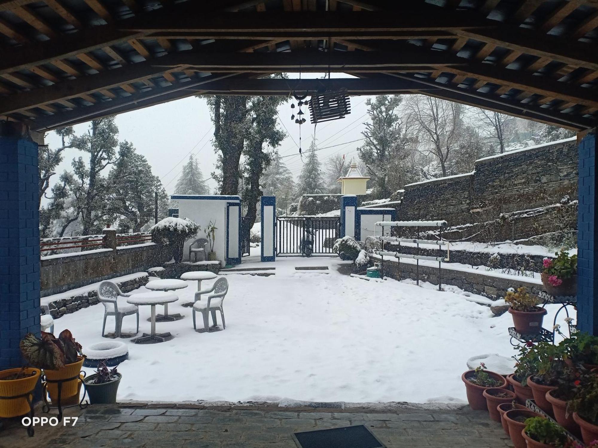 Oasis Guest House Bhagsu D'Shala Dharamshala Exterior foto