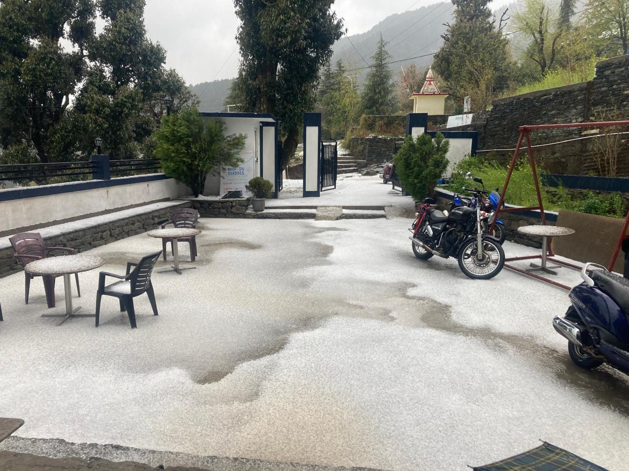 Oasis Guest House Bhagsu D'Shala Dharamshala Exterior foto
